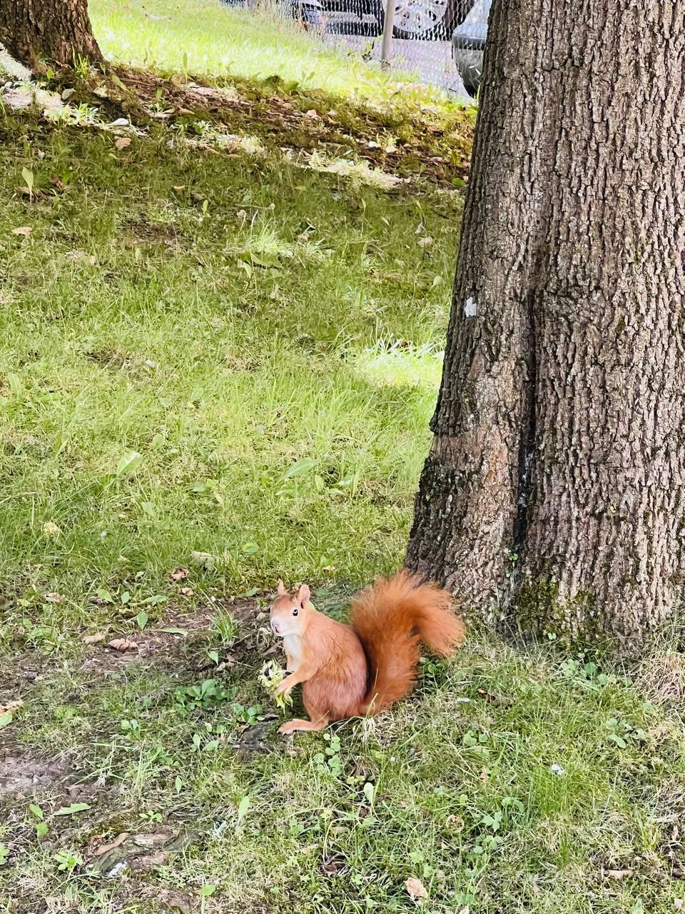 Gemütliche 3-Zimmer-Wohnung München-Sendling