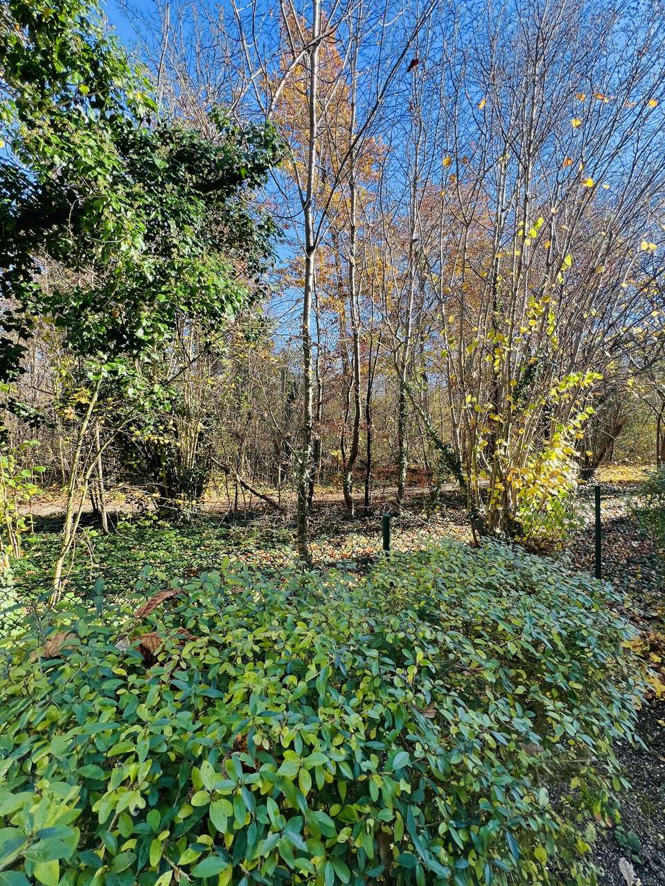 Direkt am Amalienwald: Sonnige 2-Zimmer-Wohnung Ottobrunn