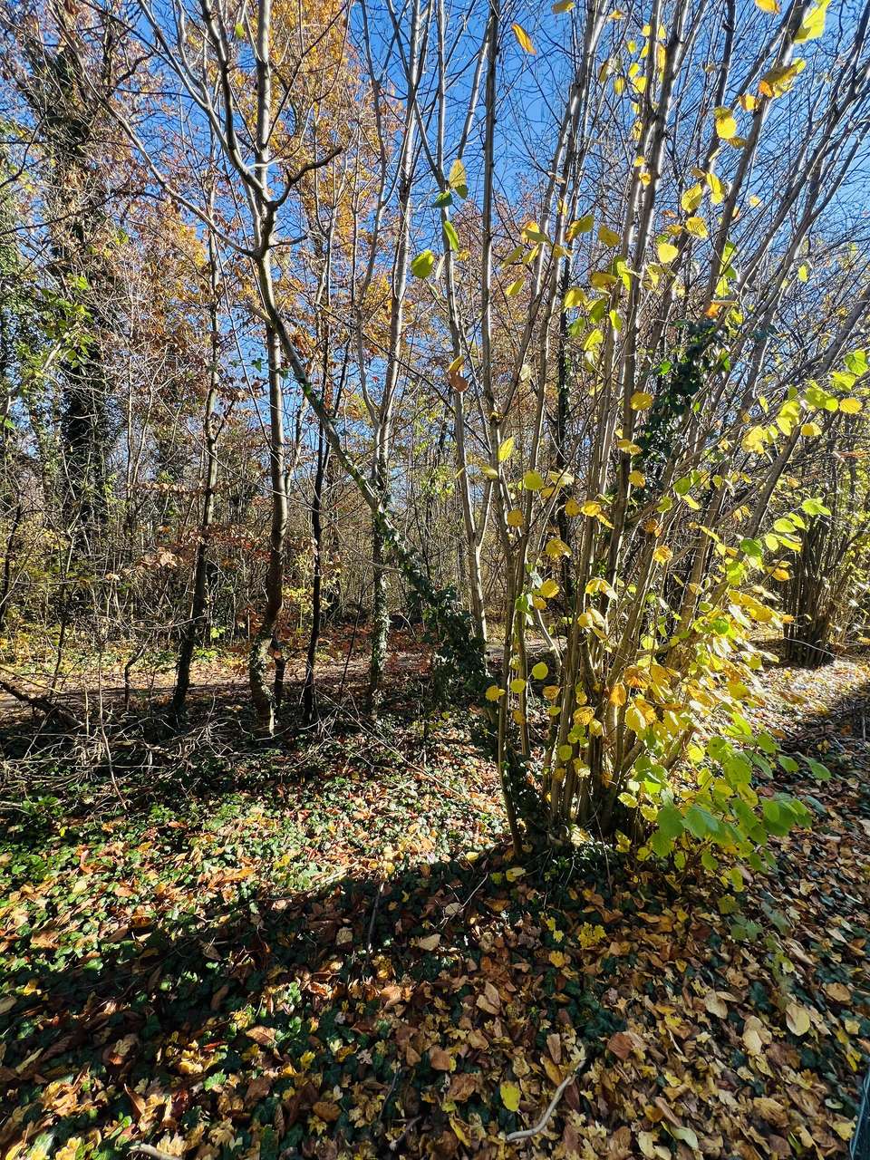 Direkt am Amalienwald: Sonnige 2-Zimmer-Wohnung Ottobrunn