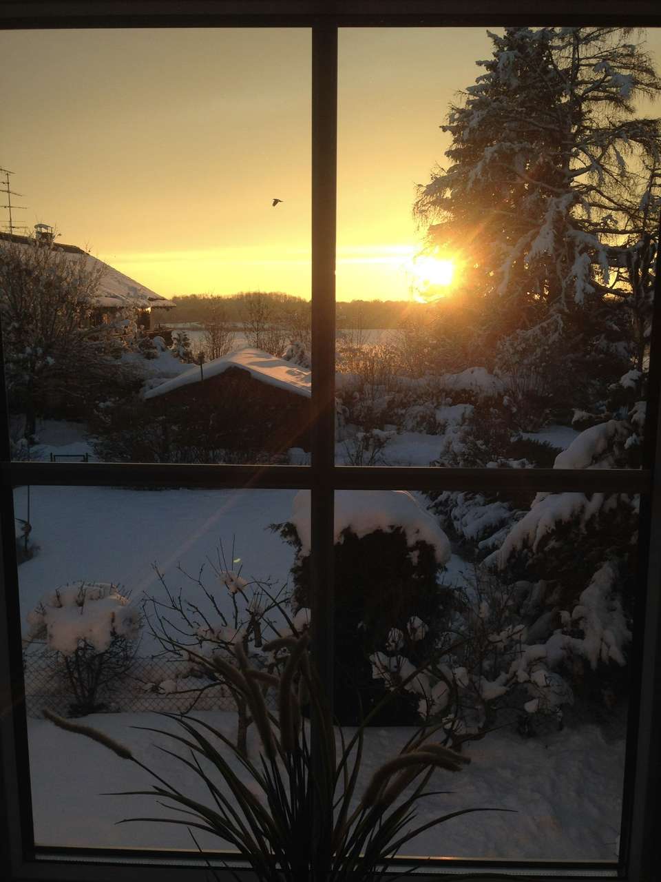 Sonnenaufgang OG im Winter Sonnenaufgang OG im Winter