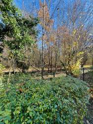 Amalienwald - direkter Nachbar