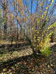 Amalienwald - direkter Nachbar