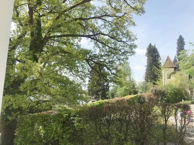 Ausblick