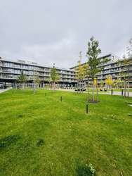 Ansicht Ansicht